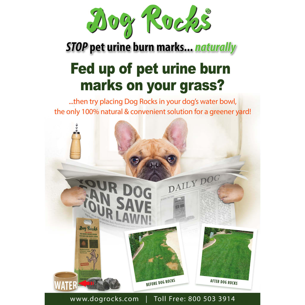Dog Rocks Pietre per Cani per Evitare le Macchie di Urina